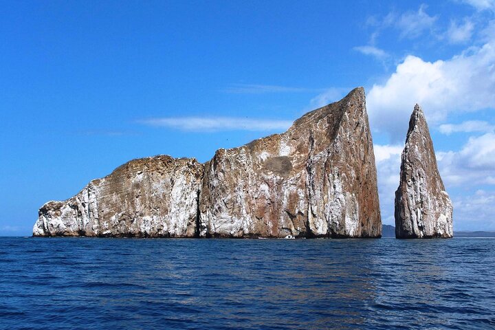 8 Day Galapagos Island Hopping For Divers