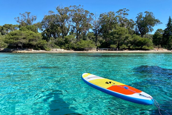 Private escape to discover Cannes & Lerins islands from the sea