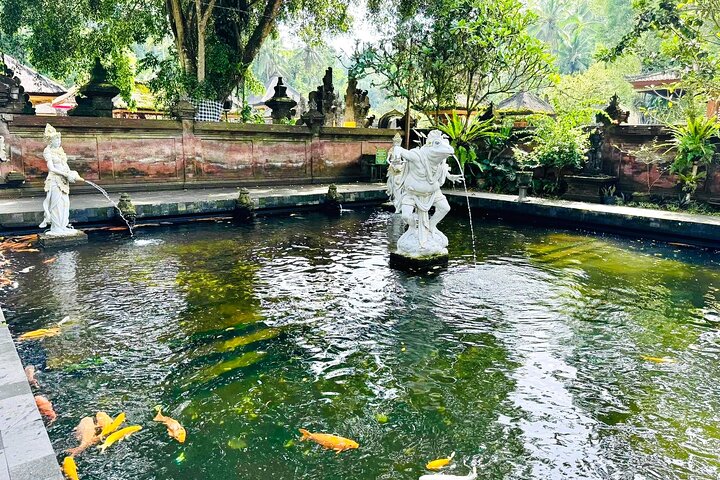 Discover The Best of Ubud: All-Inclusive and Private Guided Tour