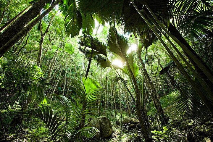 Discover Praslin Island Tour - 04 hours