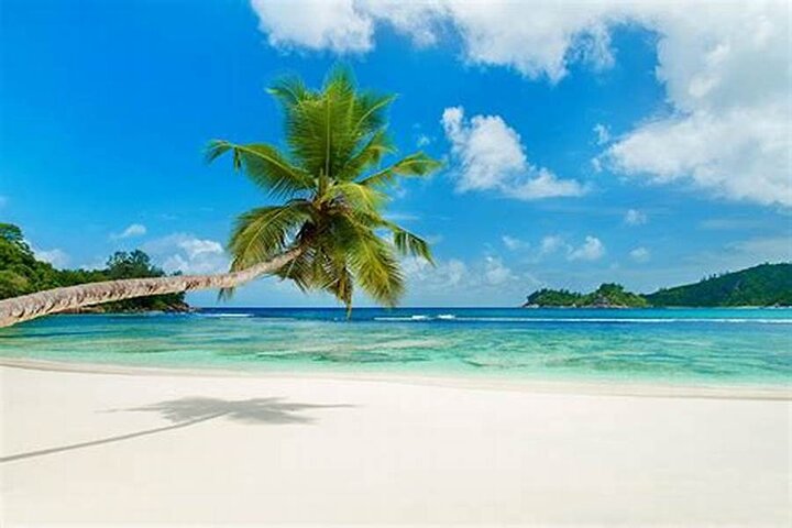 Full Day Praslin Island Tour 8hours