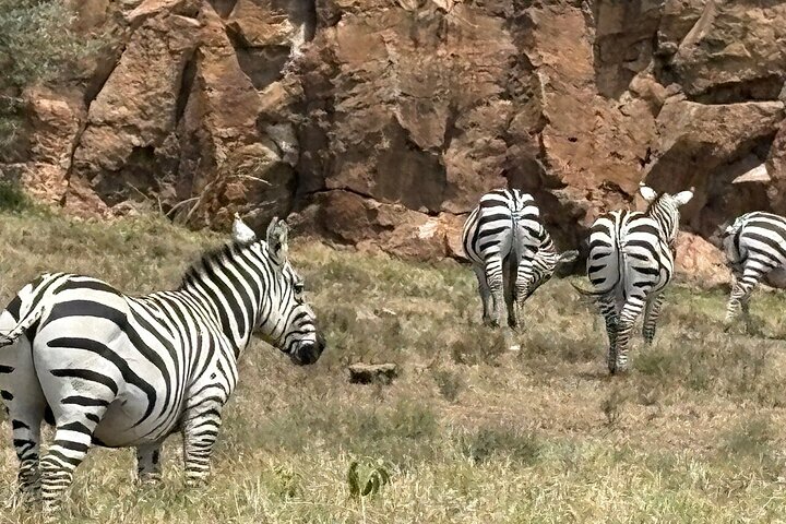 Hell's Gate Cycling Tour & Lake Naivasha Boat Ride from Nairobi