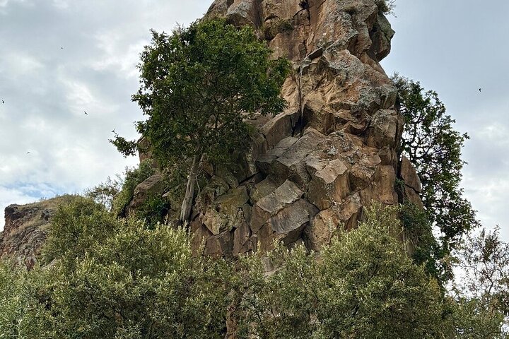 Hell's Gate Cycling Tour & Lake Naivasha Boat Ride from Nairobi