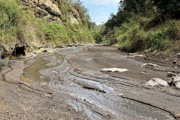 Hell's Gate Cycling Tour & Lake Naivasha Boat Ride from Nairobi