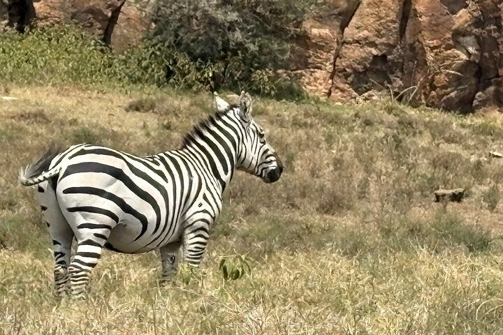 Hell's Gate Cycling Tour & Lake Naivasha Boat Ride from Nairobi