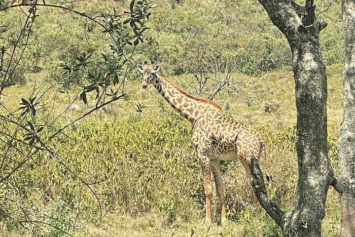 Hell's Gate Cycling Tour & Lake Naivasha Boat Ride from Nairobi