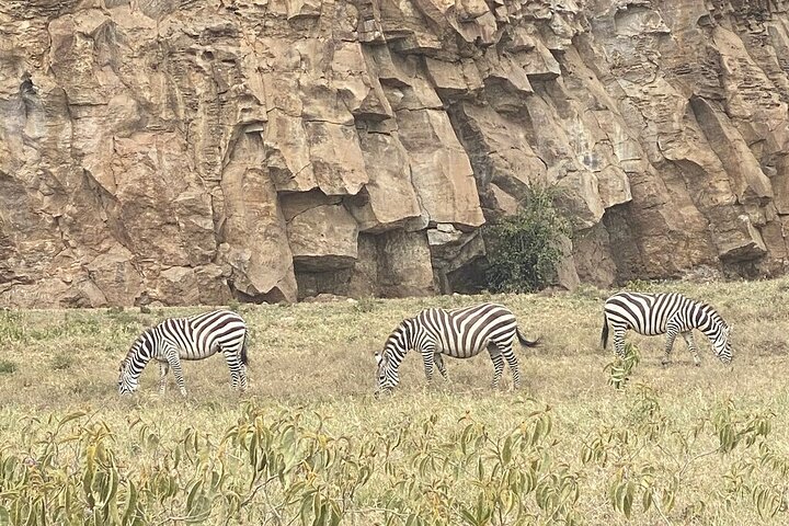 Hell's Gate Cycling Tour & Lake Naivasha Boat Ride from Nairobi