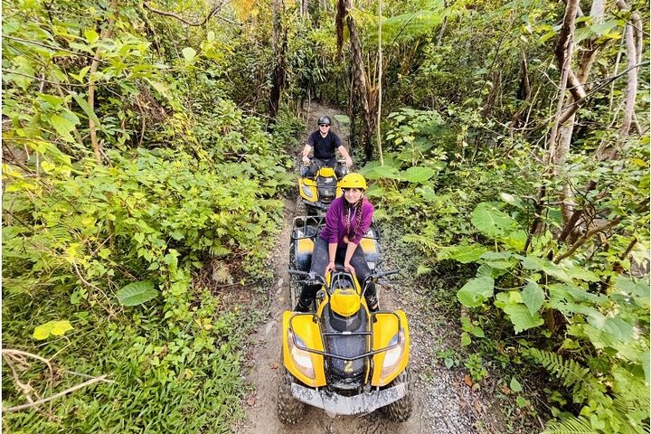 Ultimate Jungle Exploration Course in Yanbaru (60-minute buggy)