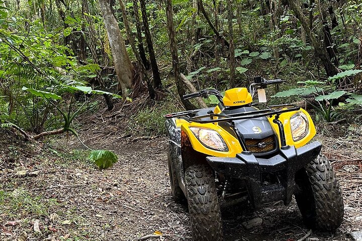 Ultimate Jungle Exploration Course in Yanbaru (60-minute buggy)