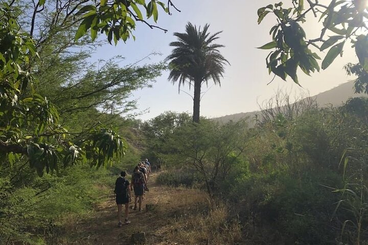 From Praia, Baobab Mysterious Tree, Green Valley & Old City Hike