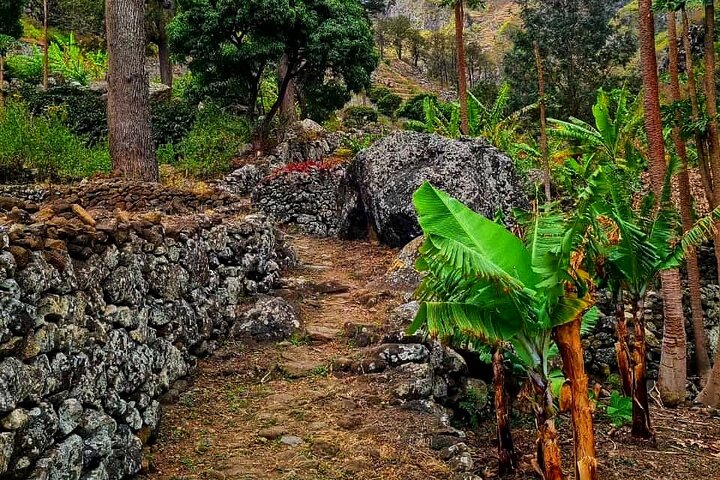 From Praia, Baobab Mysterious Tree, Green Valley & Old City Hike