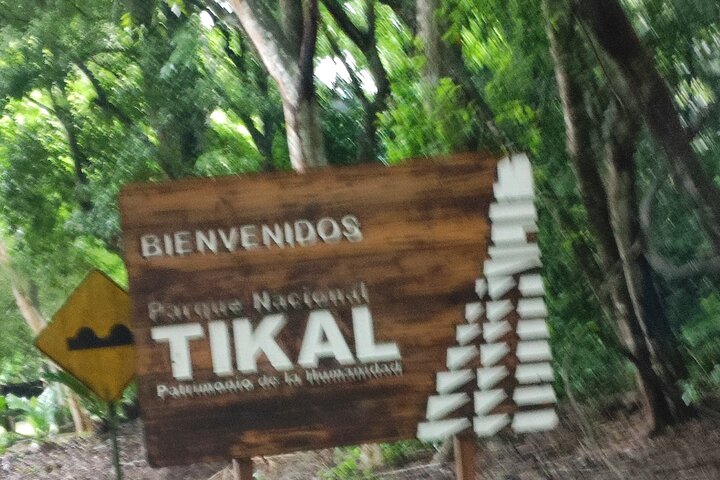 All Inclusive Tikal Tour from Flores or Mayan World Airport