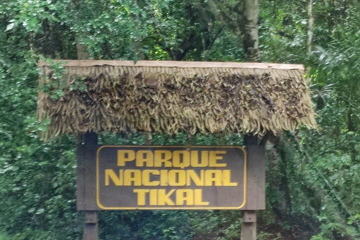 All Inclusive Tikal Tour from Flores or Mayan World Airport