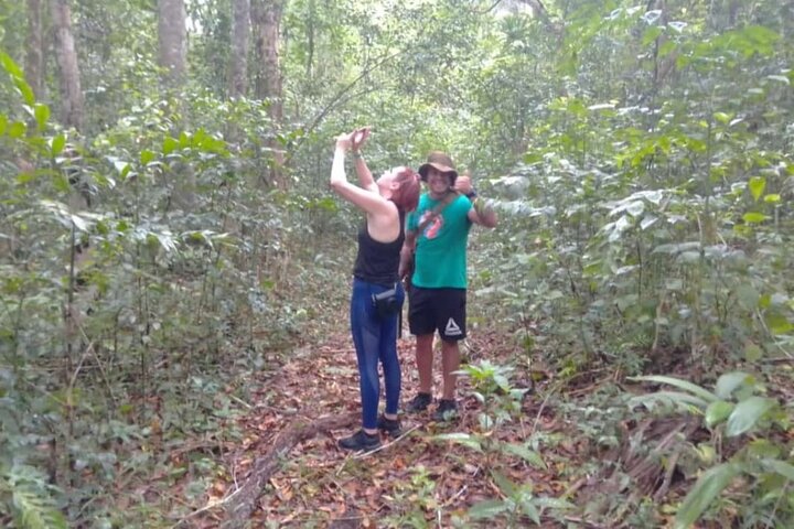 All Inclusive Tikal Tour from Flores or Mayan World Airport