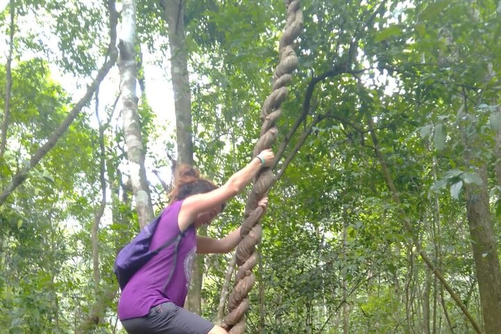 All Inclusive Tikal Tour from Flores or Mayan World Airport