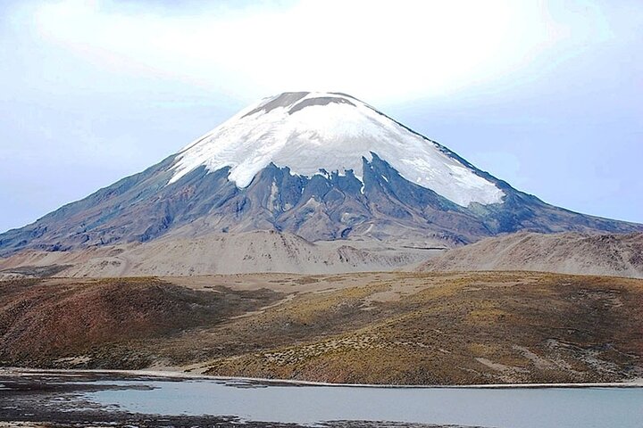 Chungará Lake & Lauca Park Tour from Arica with Lunch