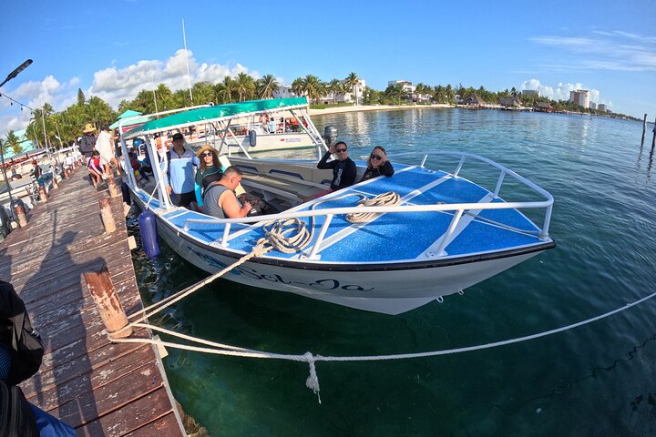 Whale Shark Tour from Cancun, Playa del Carmen, Tulum and Riviera Maya