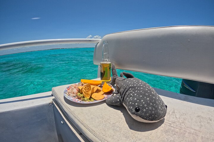 Whale Shark Tour from Cancun, Playa del Carmen, Tulum and Riviera Maya