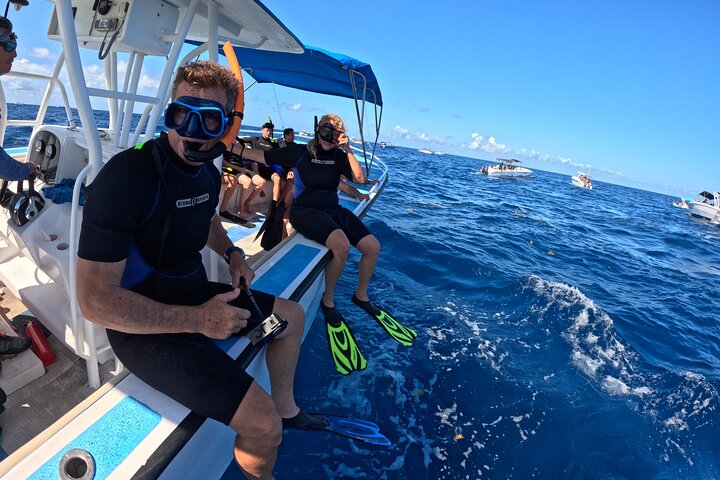 Whale Shark Tour from Cancun, Playa del Carmen, Tulum and Riviera Maya