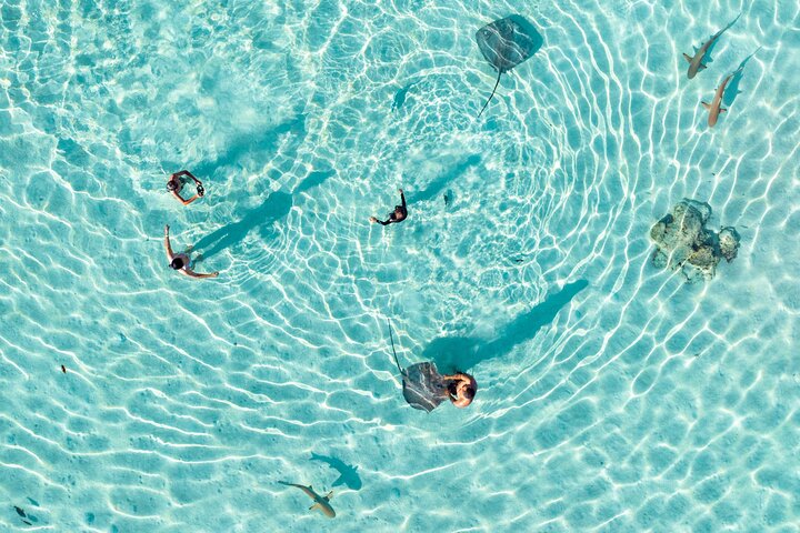 3-Hour Snorkeling Tour