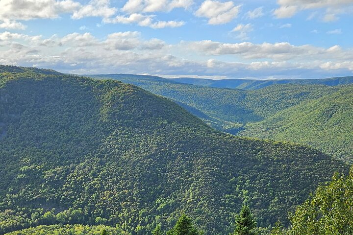 Sydney Cape Breton Shore Excursion: Cabot Trail Scenic Tour