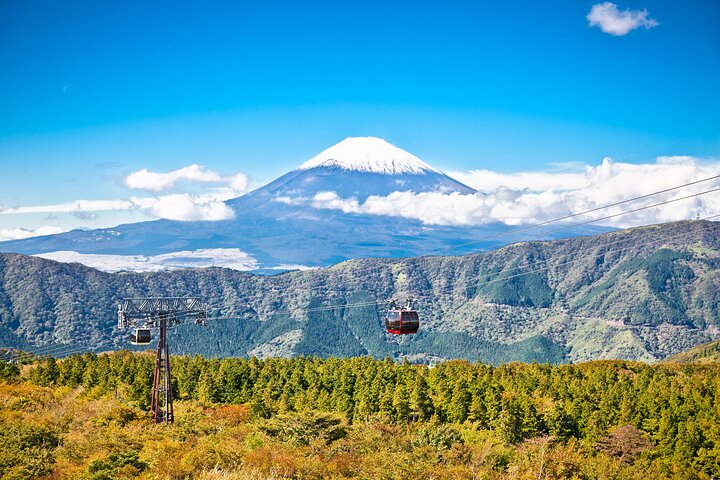 Mt. Fuji and Hakone Day Trip From Tokyo with Bullet Train Option