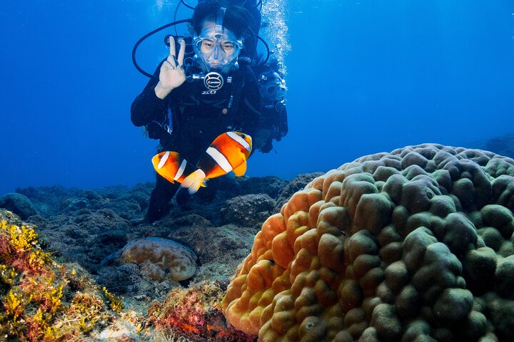Discover Scuba Diving With Sea Turtles –No certification required