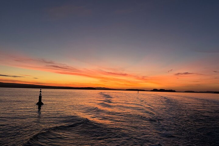 Poole Fish & Chips Lunchtime or Evening Cruise