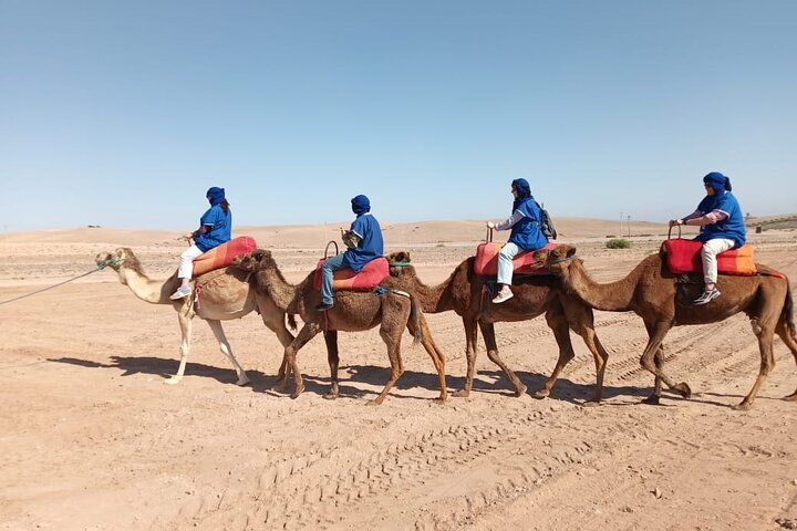 Camel ride Marrakech