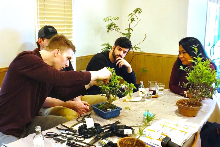 Bonsai Art Tour & Experience in Japan's Most Sacred "Bonsai City"