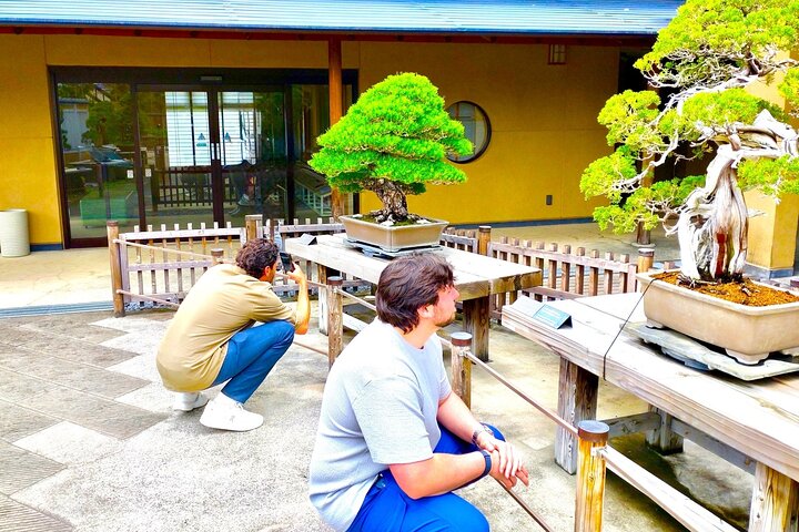 Bonsai Art Tour & Experience in Japan's Most Sacred "Bonsai City"