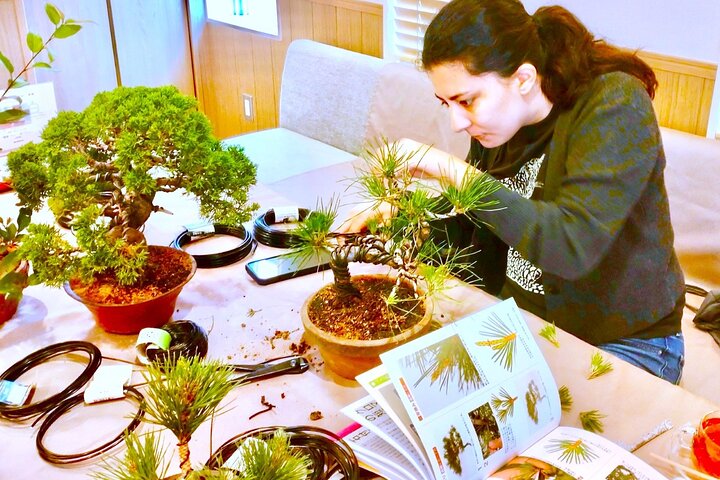 Bonsai Art Tour & Experience in Japan's Most Sacred "Bonsai City"