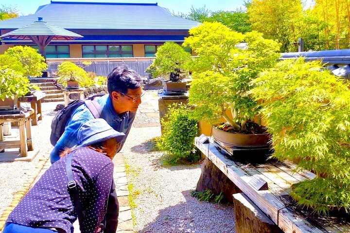 Bonsai Art Tour & Experience in Japan's Most Sacred "Bonsai City"