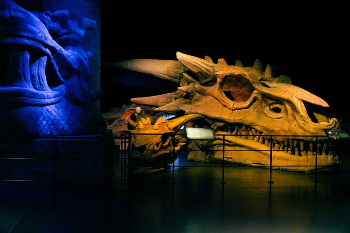 Game of Thrones Studio Tour with Coach Transfer from Belfast