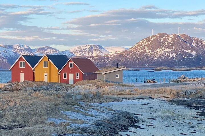 Tromso Excursion Artica Fjords and Sommaroy Islands with lunch