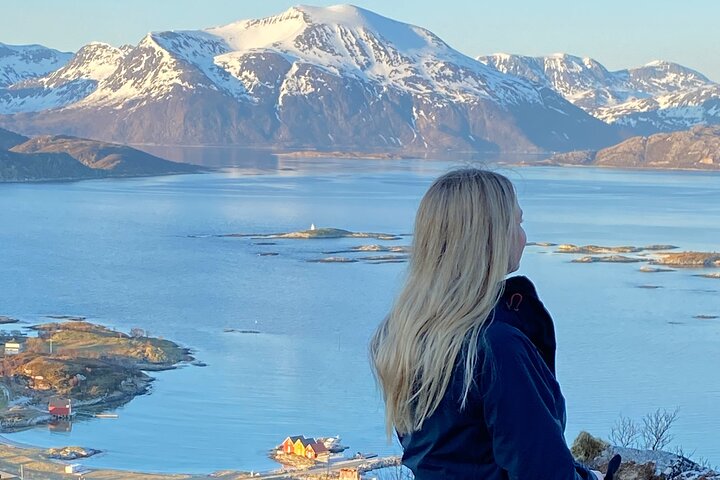 Tromso Excursion Artica Fjords and Sommaroy Islands with lunch