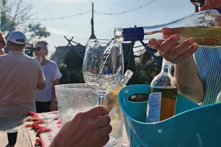 Golden Hour Guided Tour: Histria Citadel & Local Wine Tasting
