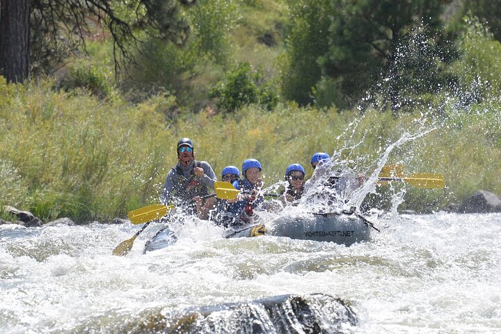 Bighorn Sheep Canyon Half Day Beginner Whitewater Rafting Tour