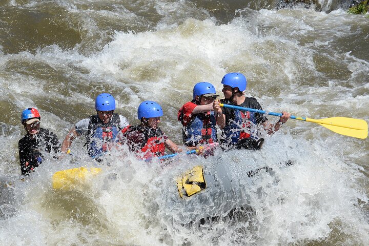 Bighorn Sheep Canyon Half Day Beginner Whitewater Rafting Tour