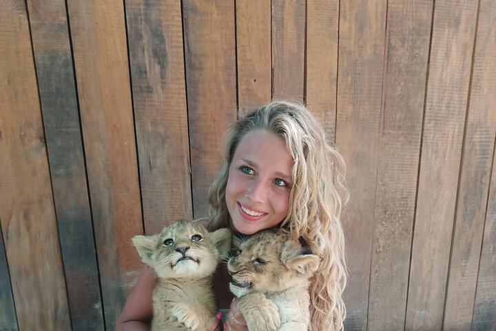Lion Safari and Green Canyon Splash Feast with Lunch
