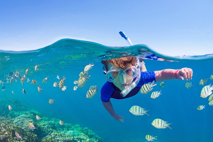 Snorkel Tours to Shallow Coral Reefs at Pennekamp Underwater Park