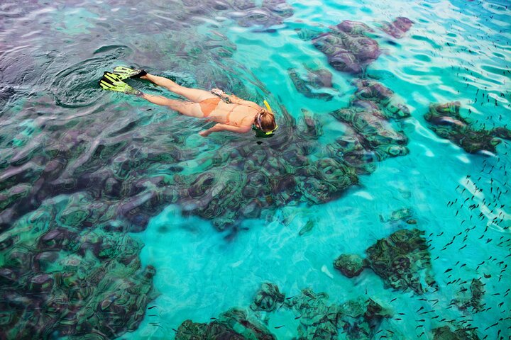 Snorkel Tours to Shallow Coral Reefs at Pennekamp Underwater Park