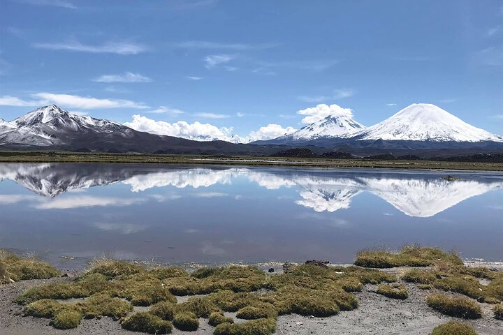 Chungará Lake & Lauca Park Tour from Arica with Lunch