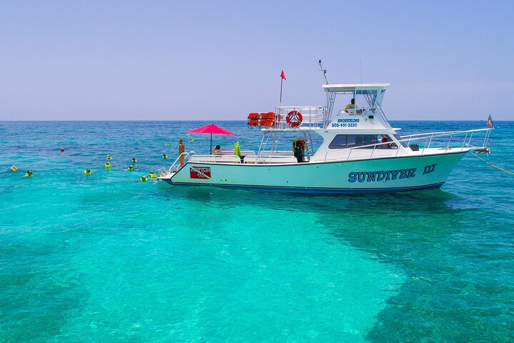 Snorkel Tours to Shallow Coral Reefs at Pennekamp Underwater Park