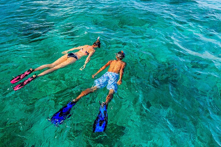 Snorkel Tours to Shallow Coral Reefs at Pennekamp Underwater Park