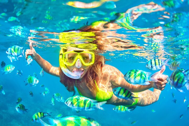 Snorkel Tours to Shallow Coral Reefs at Pennekamp Underwater Park
