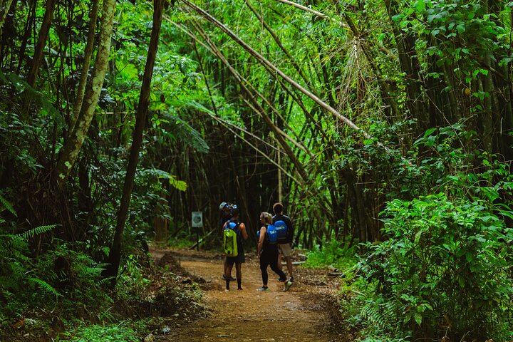 Top Rated El Yunque Rainforest & Waterslide – SmallGroup Tour