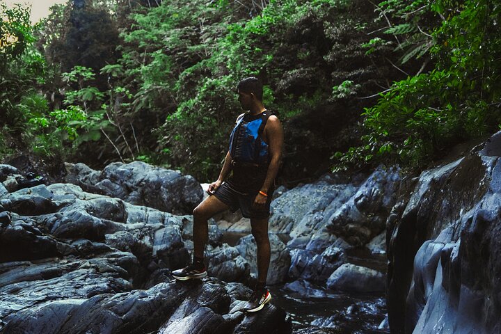 Half-Day Yunque Rainforest Waterslide & rope swing Guided Tour