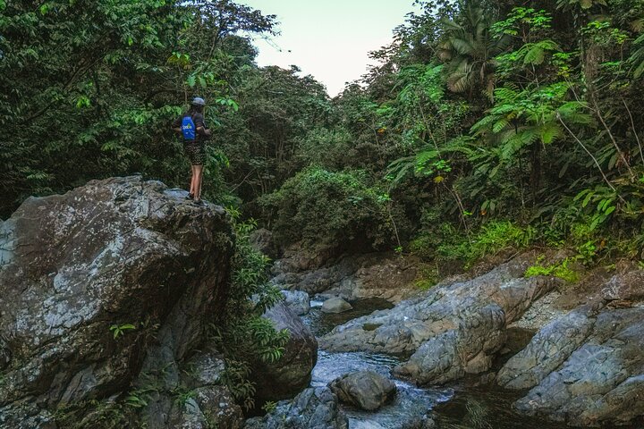 Half-Day Yunque Rainforest Waterslide & rope swing Guided Tour