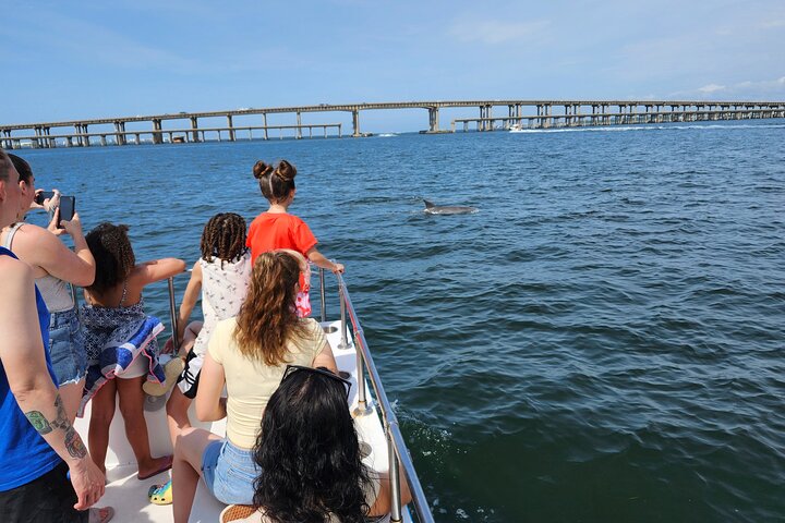 Pensacola Beach Dolphin and Scenic Tour